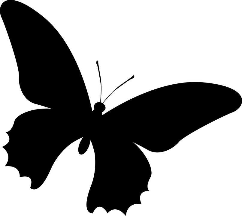 logo papillon